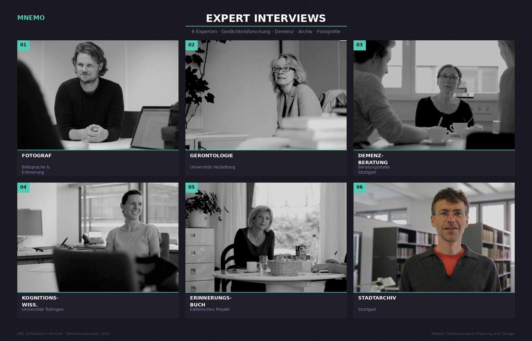 Six expert interviews
